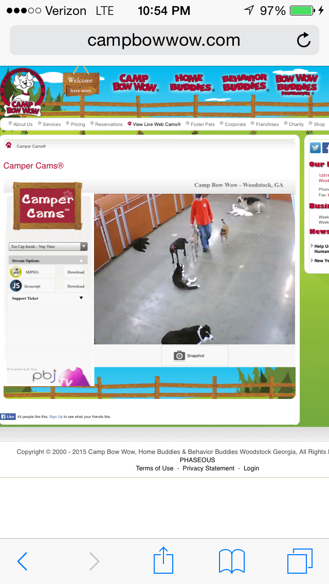 Camp bow 2024 wow live cam